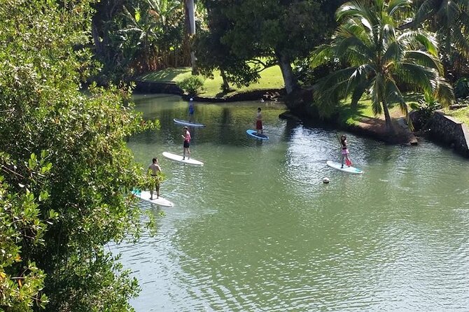 Stand Up Paddle Nature and Turtle tour-Guaranteed to see turtles - Beginner-friendly coaching that keeps you confident
