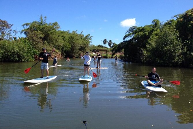 Stand Up Paddle Nature and Turtle tour-Guaranteed to see turtles - Price and value: is $172.77 a good deal?