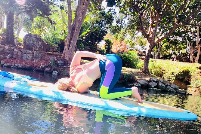 Stand-Up Paddle Yoga on the North Shore of Oahu - Who should book Yoga Kai, and who should think twice