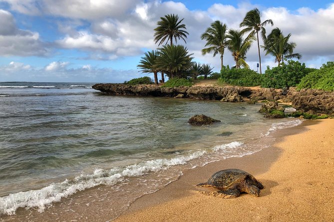 Sunrise Plus Island Tour - The Road-Trip Day: North Shore Stops and Weather-Adaptive Routing