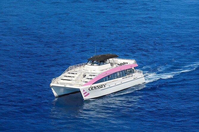 Sunset Cruise & Whale Watching from Oahu - Price and value: is $61.19 a smart buy?