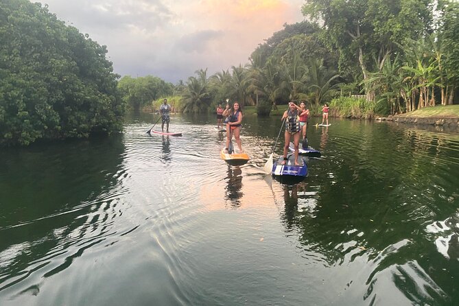 Sunset Stand Up Paddle with Photos and Turtles - Guide Photos on Your Phone: The Smart Way to Capture the Sunset