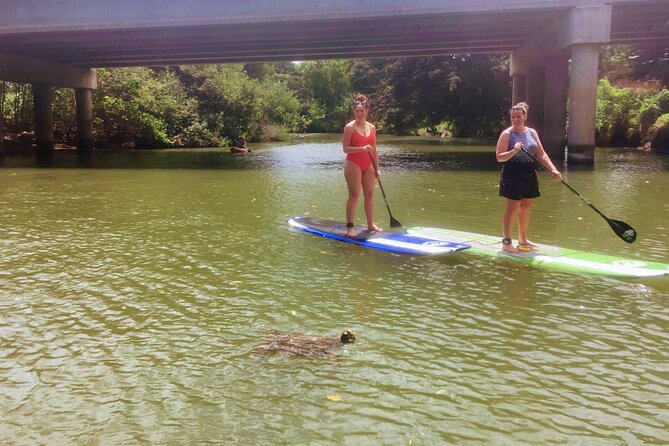 Sunset Stand Up Paddle with Photos and Turtles - What to Bring (and What You Can Skip)