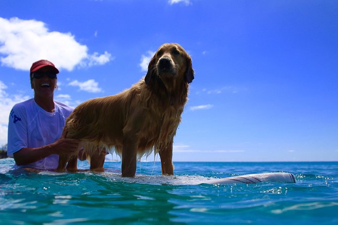 Surf Lessons on the North Shore of Oahu - Key Points to Know Before You Go