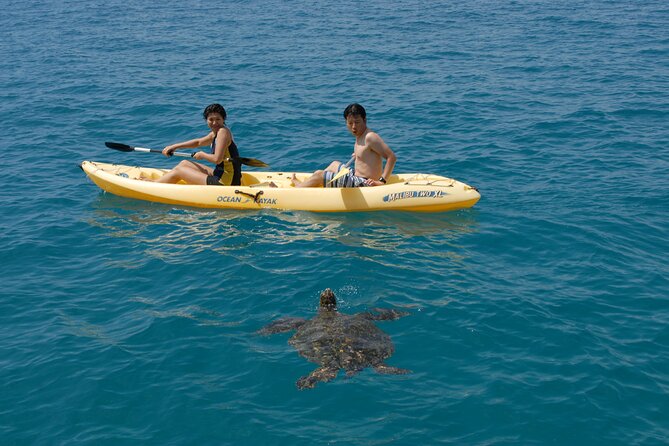 Swim with Dolphins Catamaran with Waterslide & Lunch on Oahu - Makaha snorkel stop: turtles, reef fish, and why this area is worth it