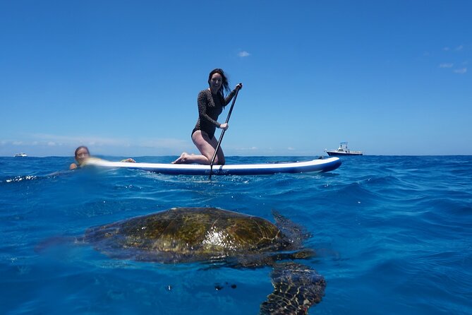 Swim with Dolphins Catamaran with Waterslide & Lunch on Oahu - Beyond snorkeling: waterslide, paddleboarding, kayaking, and the floating mat
