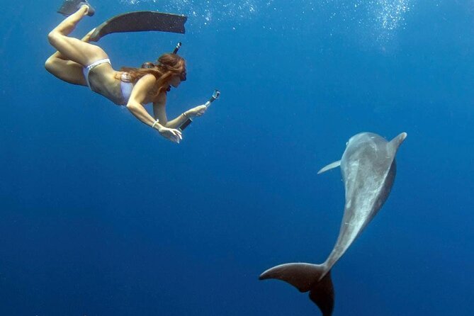 Swim with Dolphins Catamaran with Waterslide & Lunch on Oahu - Lunch and onboard comforts: the food is part of the plan