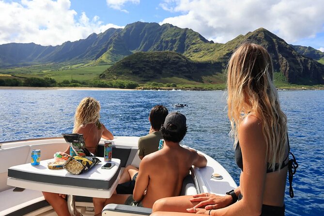 Swim With Dolphins & Turtles in West Oahu (Semi-Private Tours) - Guides and crew energy, names you might meet