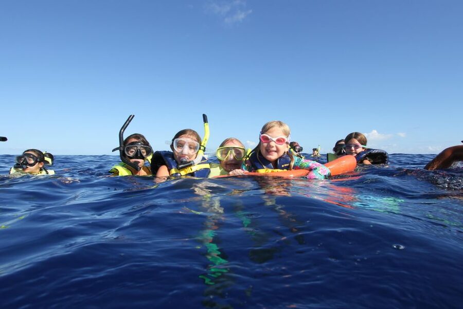 Swim with Wild Dolphins Oahu Speedboat Snorkeling Adventure! - Swimming with wild dolphins offshore: what you’re signing up for