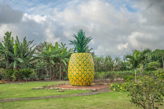 "The Dole Plantation" & "North Shore" Private Limousine VIP Tour! - Dole Plantation: 3 hours to choose your pineapple pace