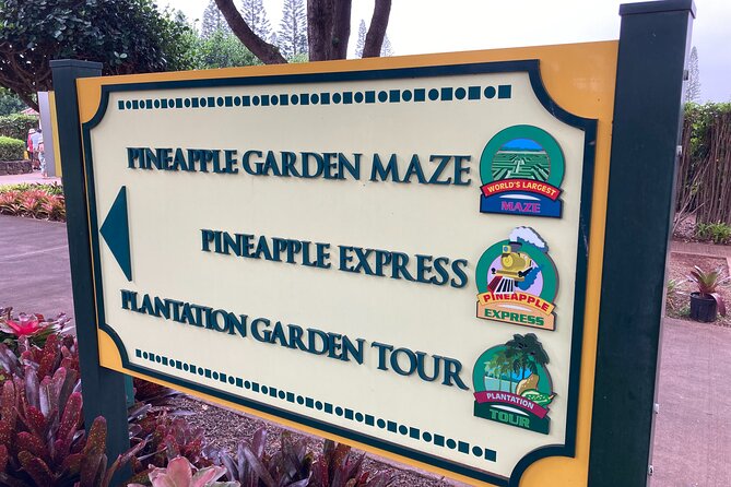"The Dole Plantation" & "North Shore" Private Limousine VIP Tour! - Haleiwa town: shrimp trucks, sea turtles, and a photo stop