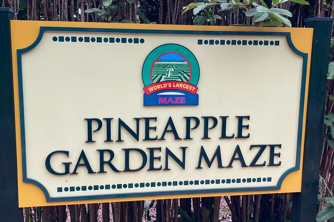 "The Dole Plantation" & "North Shore" Private Limousine VIP Tour! - Who this VIP North Shore day suits best