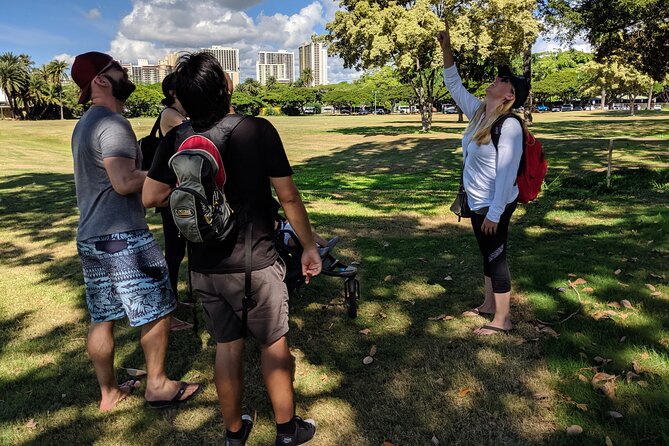 The East Waikiki Walking Tour - Stop 2: Kaimana Beach, First Surf Schools, and the Outrigger vs Hui Nalu Tension