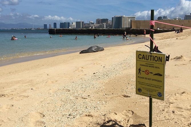 The East Waikiki Walking Tour - Zoo Perimeter Stories: Learning to Look Closely at Animals