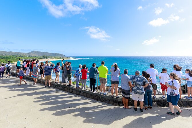 Tour of North Shore & Waimea Waterfall - Waikiki pickup runs early, so plan your morning right