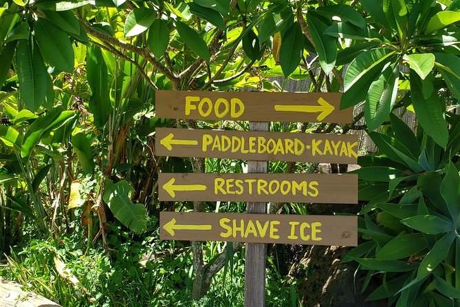 Tour of North Shore & Waimea Waterfall - Taste the island: Macadamia, Mokoli’i, shrimp, and Kahuku fruit
