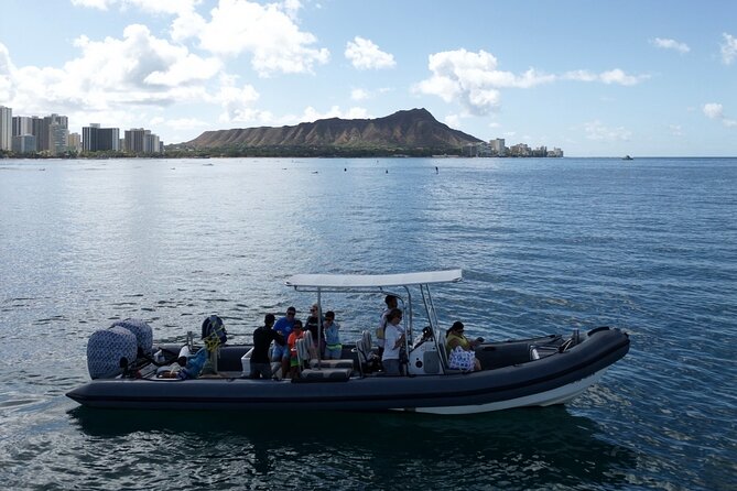 Turtle Canyon Snorkel: Semi Private Boat Tour - Should you book Turtle Canyon Snorkel with Captain Max?