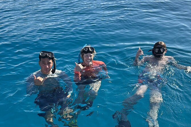 Turtle Canyon Snorkel Tour - Semi-private: 6 passenger max - Key Highlights That Matter