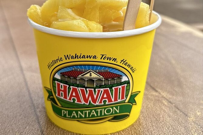 Turtle Snorkeling and Dole Plantation Guided Tour In Oahu - Price and value check: is $199 a fair deal for this Oahu mix?