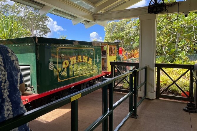 Turtle Snorkeling and Dole Plantation Guided Tour In Oahu - Who this tour suits best, and who should choose differently