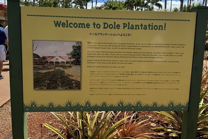 Turtle Snorkeling and Dole Plantation Guided Tour In Oahu - Smart tips for making the day smoother