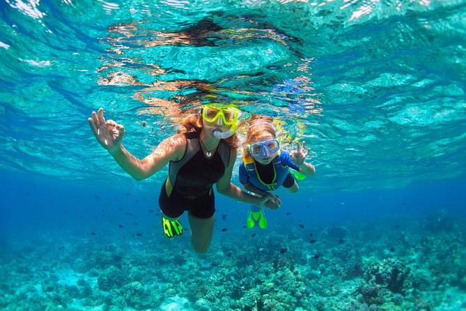 Ultimate Grand Oahu Circle Island Tour with Snorkeling and More - Circle Island, Minus the Driving Stress From Waikiki