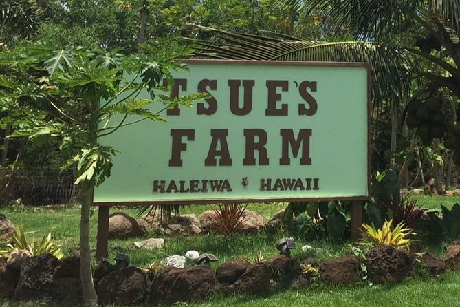 Ultimate North Shore Adventure: Full-Day Hawaiian Experience - Green World Coffee Farms: where the morning turns aromatic