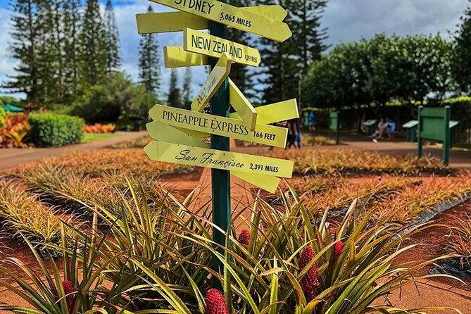 Ultimate North Shore Adventure: Full-Day Hawaiian Experience - Waimea Valley: waterfall time with a hike option and an optional dip