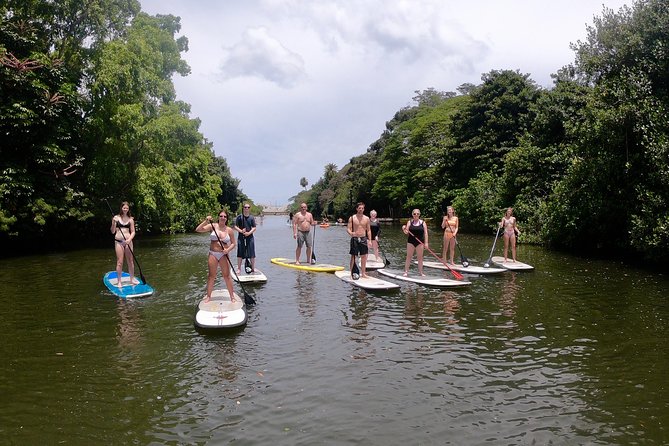 Uniquely Personalized Private Island Tour on Oahu, Hawaii - North Shore: Waimea Valley waterfalls, Turtle Bay, and Haleiwa town time