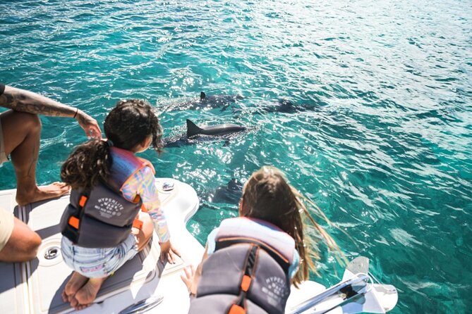 Venture Wildlife Snorkel Charter from Ko Olina - Captain Mark and First Mate Marco, The Crew Factor