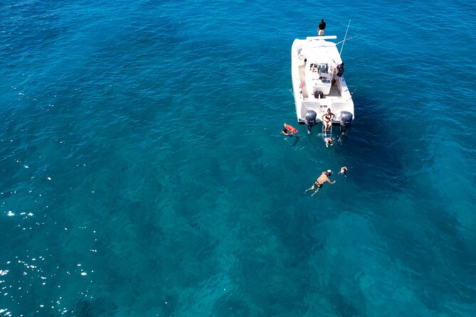 Venture Wildlife Snorkel Charter from Ko Olina - Itineraries Usually Look Simple, So Watch What’s Actually Included