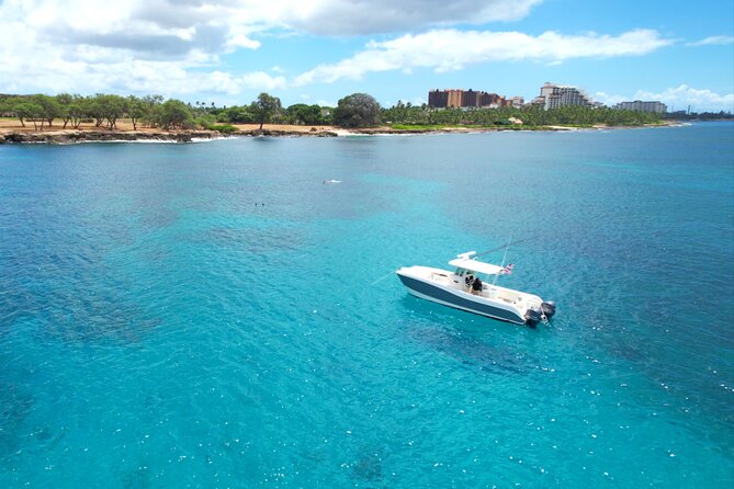 Venture Wildlife Snorkel Charter from Ko Olina - Who This Charter Fits Best