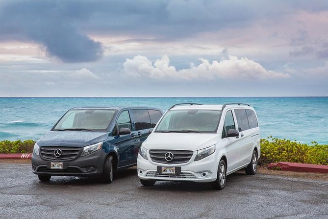 VIP Aloha Style Private Island Tour - Dole Plantation to Diamond Head, the “best-known first” strategy