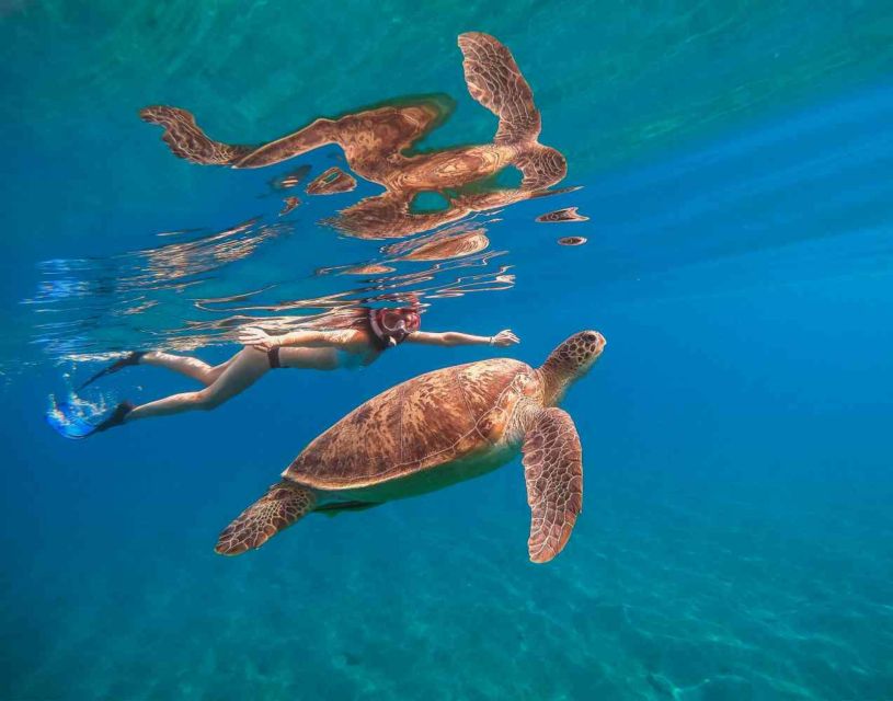 Waikiki: 5-in-1 Turtle Snorkeling Trip with Shuttle Option - Price and value: is $115 a good deal?