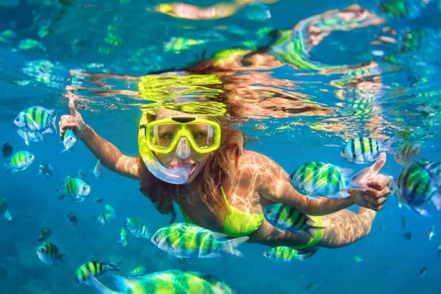 Waikiki: 5-in-1 Turtle Snorkeling Trip with Shuttle Option - A few things to bring, and a few to leave at home