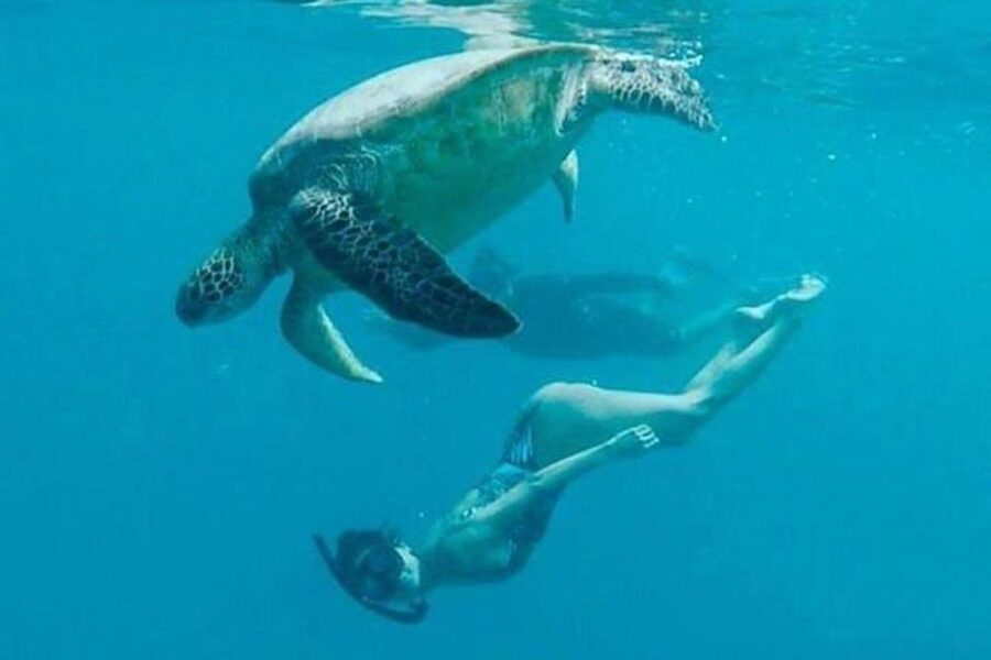 Waikiki Beach: Turtle Snorkeling and Sailing on Hāwea - Flotation life belt: why it’s part of the experience