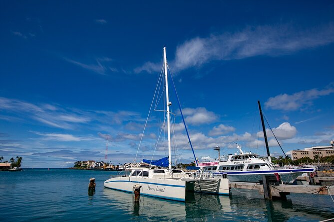 Waikiki Catamaran Snorkel Sail with Lunch: Turtles Guaranteed - Spotting turtles and marine life, plus the crowd factor