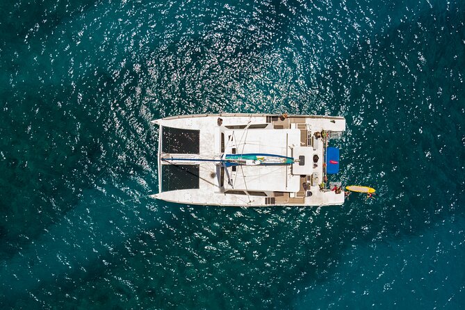 Waikiki Catamaran Snorkel Sail with Lunch: Turtles Guaranteed - Whale season adds a second wildlife layer