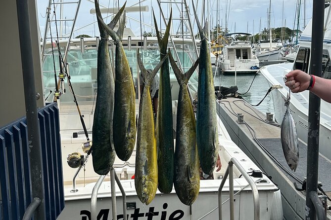 Waikiki Deep Sea Fishing Charter from Oahu - The Boat Setup: 47 Cabo Express, Air Conditioning, and a Real Kitchen