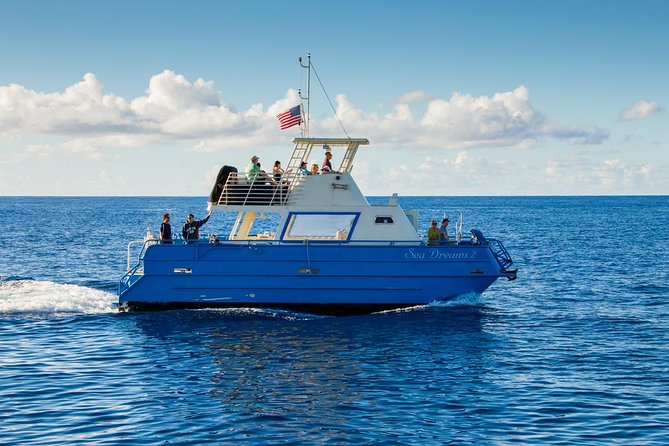 Waikiki Deluxe Catamaran Whale Watch - Stop 2: Waikiki, cruising the shoreline for the whale-watching window
