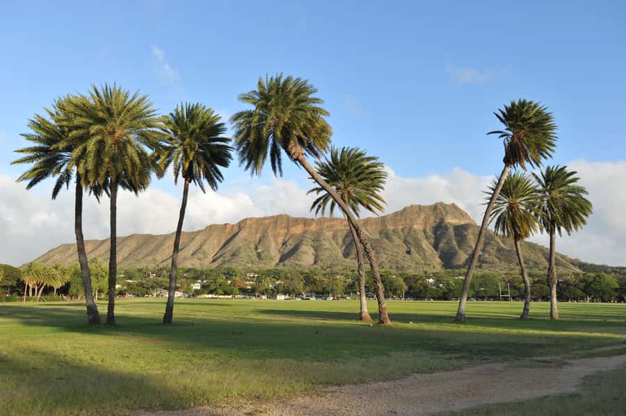 Waikiki: Diamond Head Hiking/ Hiking Starts at 7:00am. - 7:00am Waikiki Pickup, Then a Quick Ride to Diamond Head