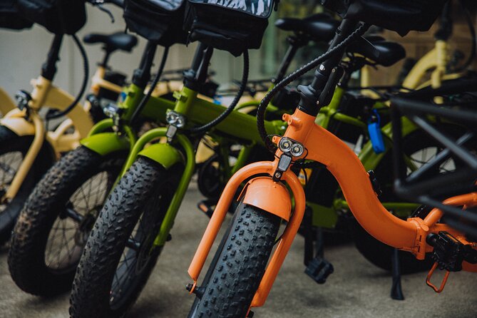 Waikiki Electric Bike Self Guided Tour- Manoa Falls Bike and Hike - The Manoa Valley ride back: keep it relaxed, not rushed