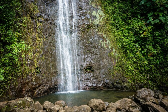 Waikiki Electric Bike Self Guided Tour- Manoa Falls Bike and Hike - Starting point near Waikiki: Hele on Waikiki, then straight into Manoa