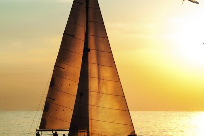 Waikiki Fireworks Dinner Cruise: Sail & Sparkle on Friday Nights - Boarding at Ala Moana, and the Pickup Reality Check