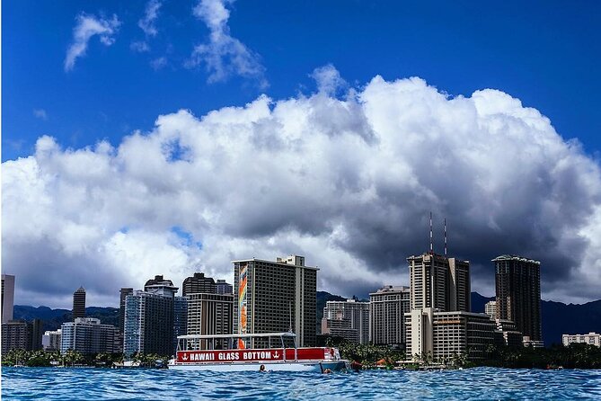 Waikiki Glass Bottom Boat Cruise - Sea Life Spotting, Dolphins and Turtles in Real Conditions
