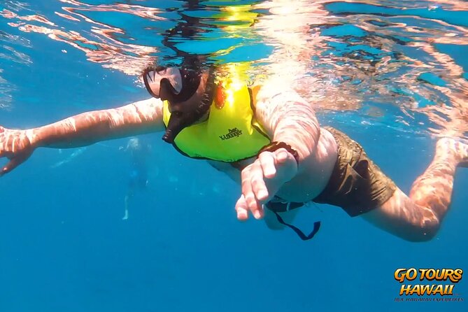 Waikiki Green Sea Turtle Snorkeling Tour - Boat Excursion - Who this tour suits best, and who might want a different option