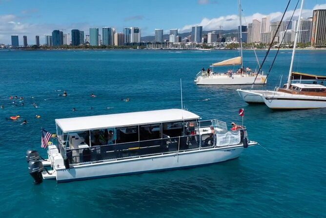 Waikiki Green Sea Turtle Snorkeling Tour - Boat Excursion - Price and value: is $129.99 a good deal for Turtle Canyon?