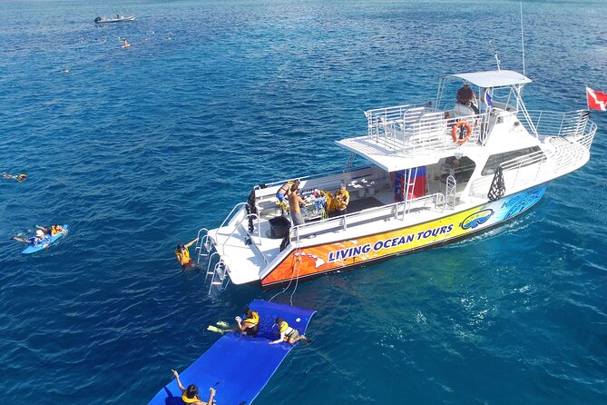 Waikiki, Hawaii: Turtle Canyon Snorkel Excursion - Why This Turtle Canyon Snorkel Is a Smart Waikiki “Yes”