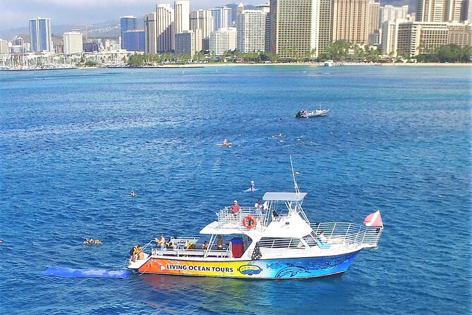 Waikiki, Hawaii: Turtle Canyon Snorkel Excursion - The Pre-Snorkel Demo: Where First-Timers Get Their Confidence