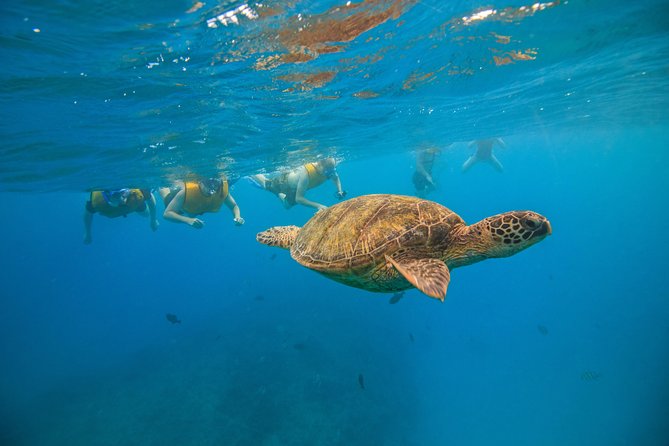 Waikiki, Hawaii: Turtle Canyon Snorkel Excursion - The Diamond Head Part: Why It Still Matters Even on a Short Tour